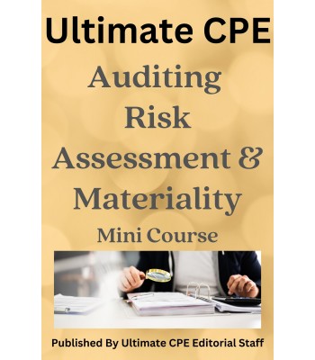 Auditing Risk Assessment and Materiality 2023 Mini Course